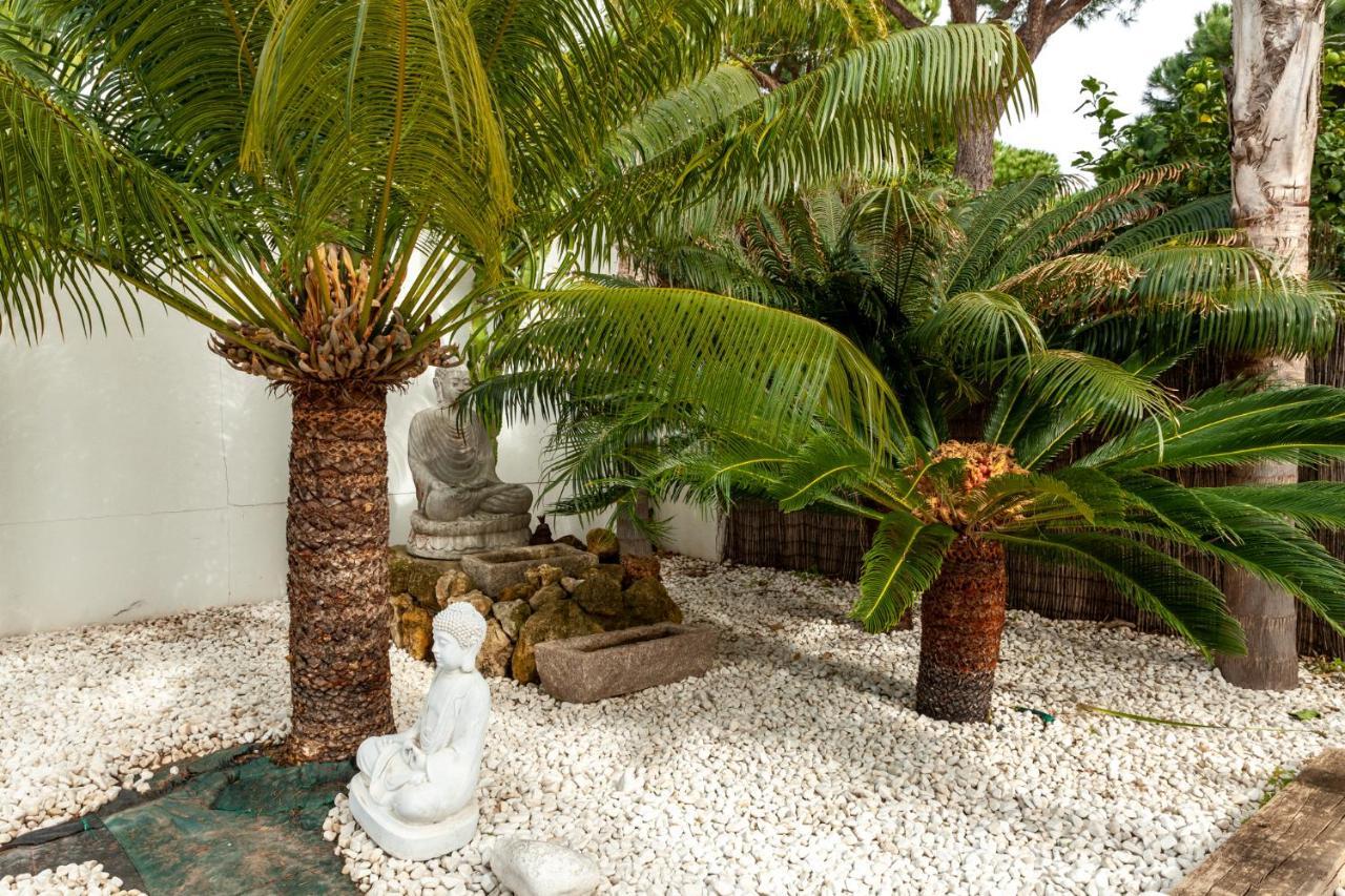 Chalet Con Piscina Privada En ماثاغون المظهر الخارجي الصورة